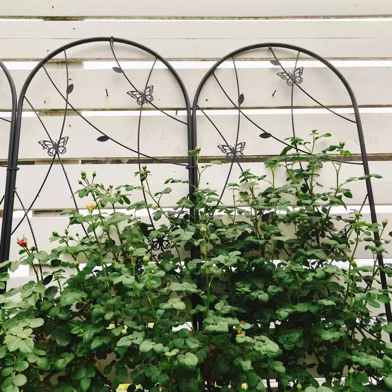 2-Pack 71x19.7in Metal Garden Trellis - Rustproof, Butterfly Decoration Black, for Outdoor Climbing Plants