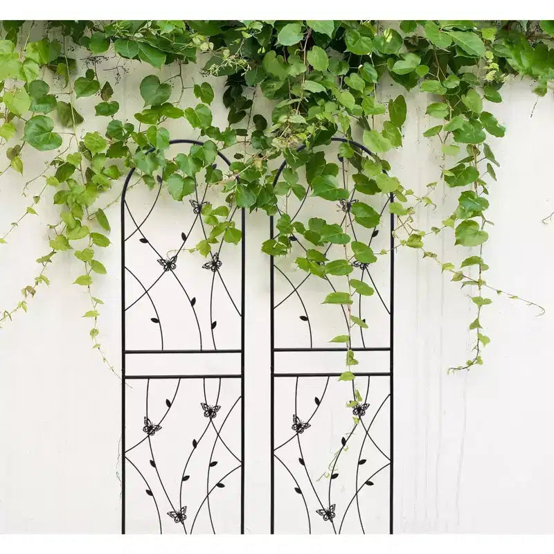 2-Pack 71x19.7in Metal Garden Trellis - Rustproof, Butterfly Decoration Black, for Outdoor Climbing Plants
